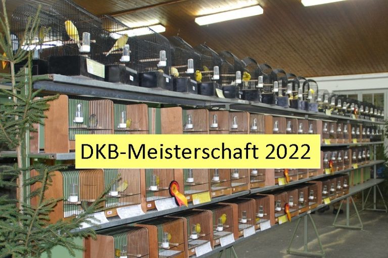 Deutsche Meisterschaft 2022